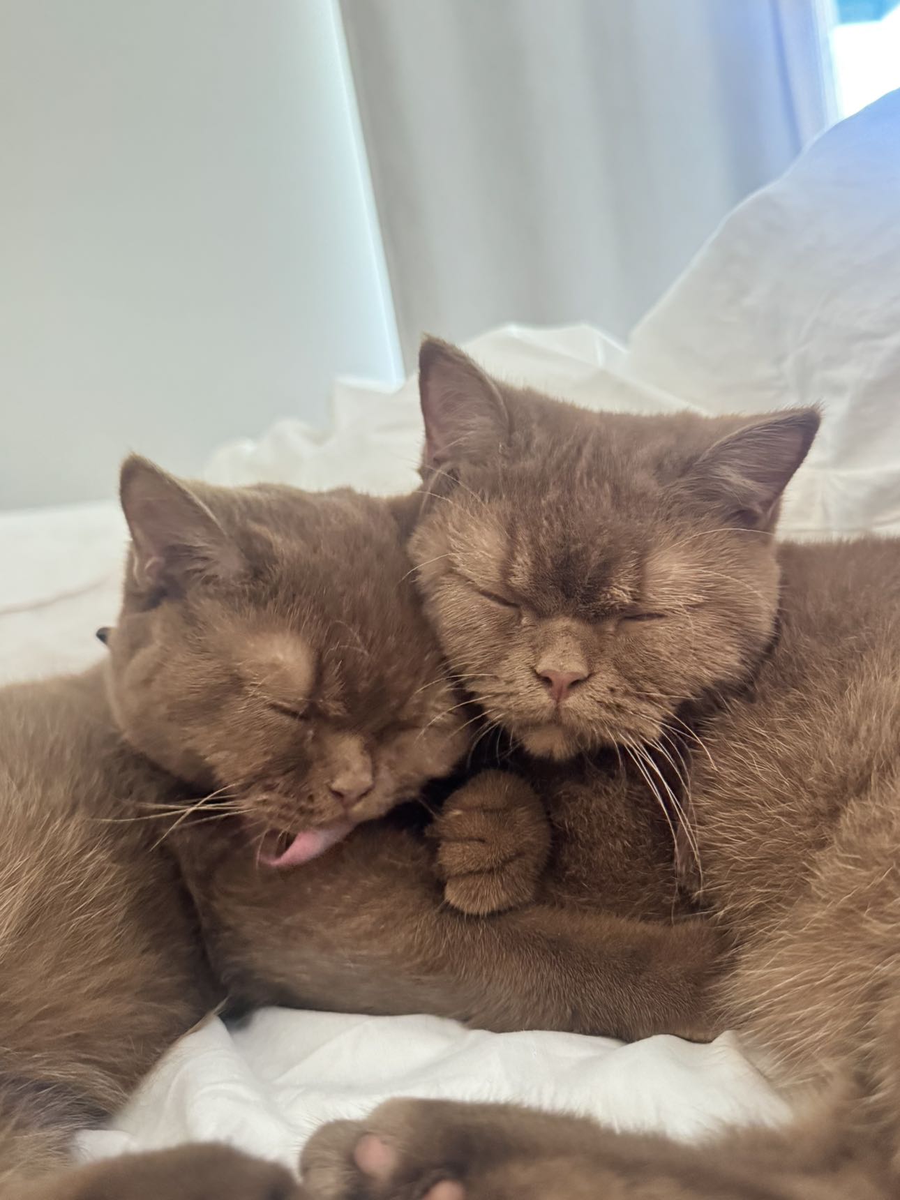 skilahblue snapchat image archive image