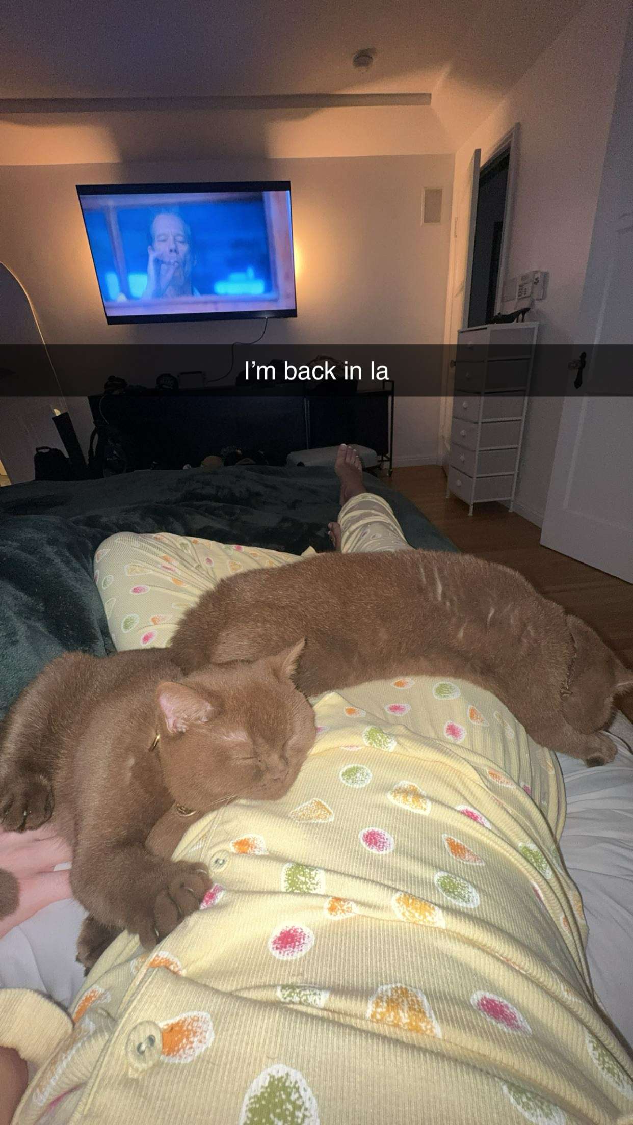 skilahblue snapchat image archive image