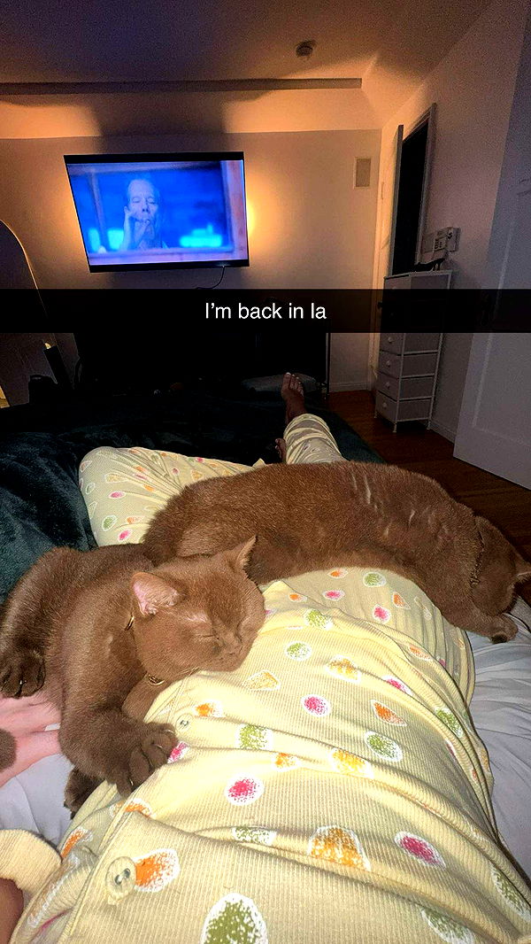 skilahblue image ~ Altpins