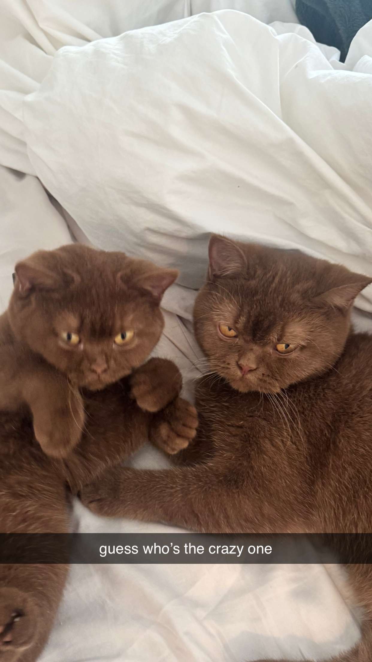 skilahblue snapchat image archive image