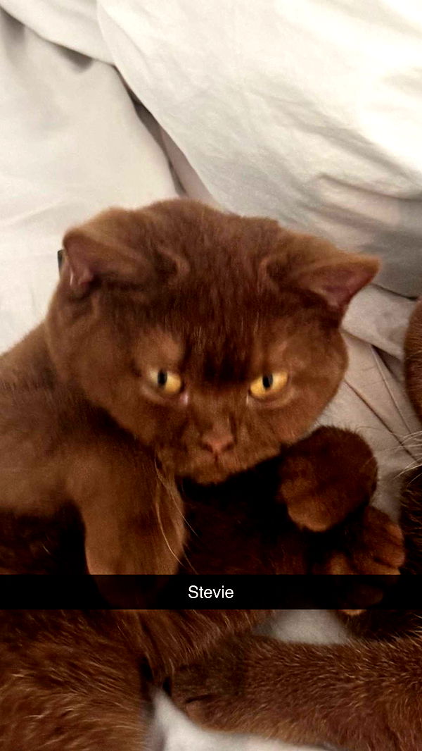 skilahblue image ~ Altpins