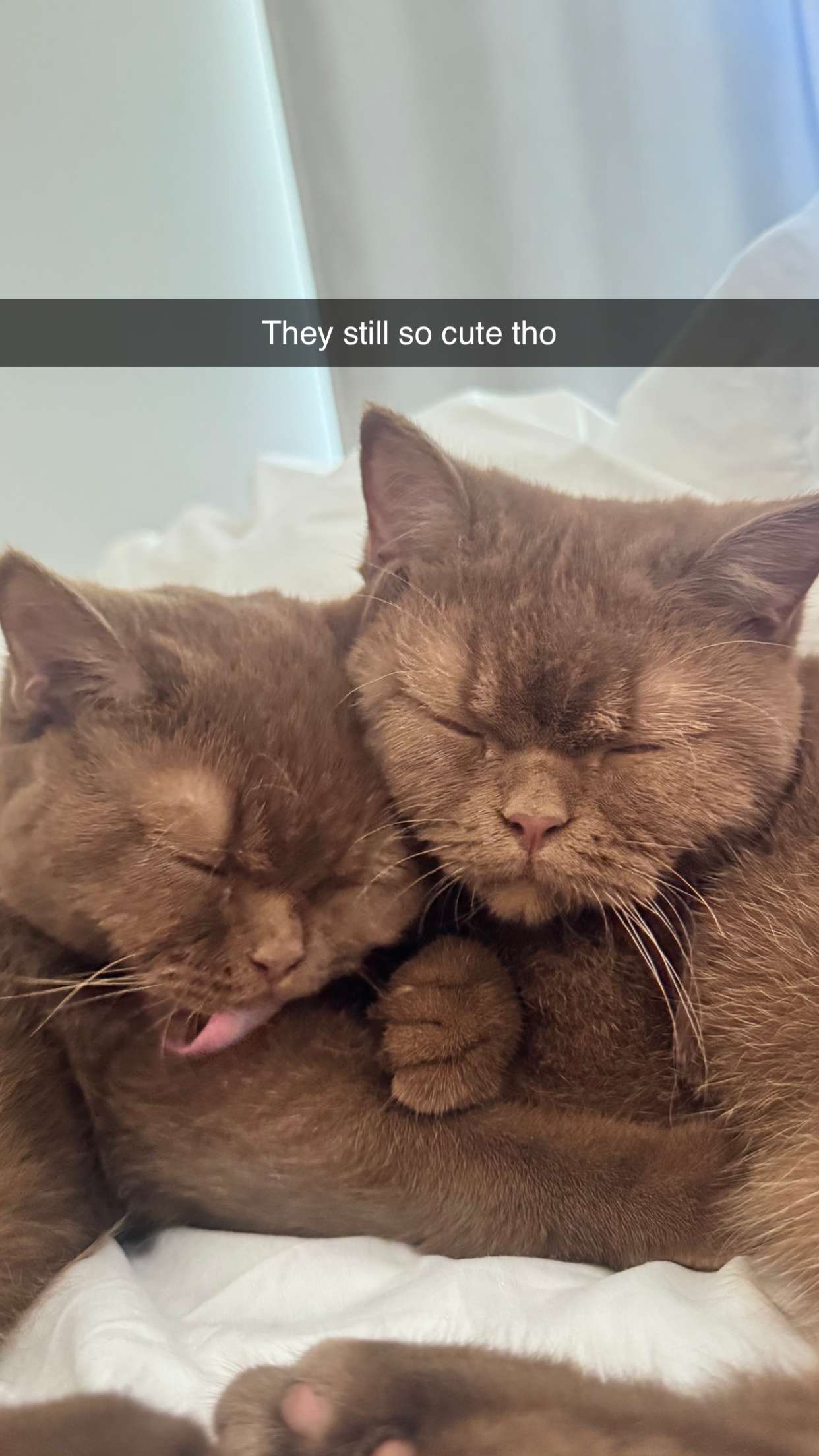 skilahblue snapchat image archive image