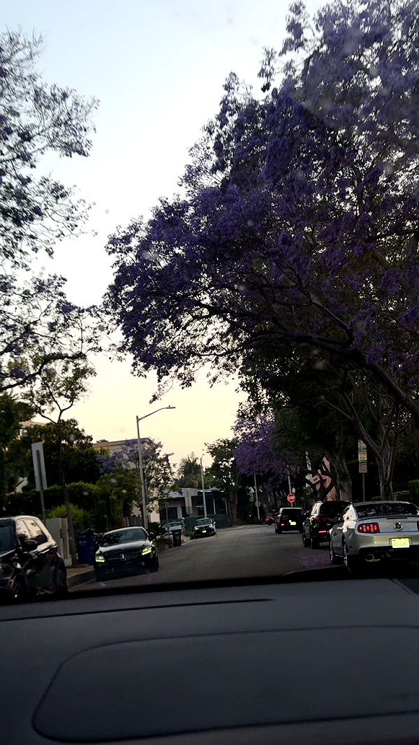 skilahblue image ~ Altpins