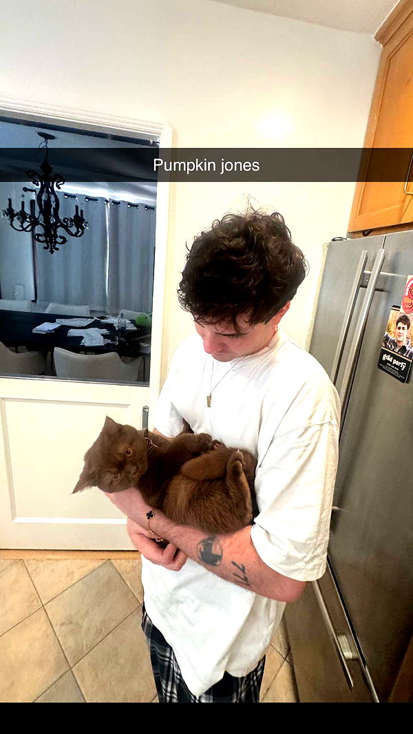 skilahblue image ~ Altpins