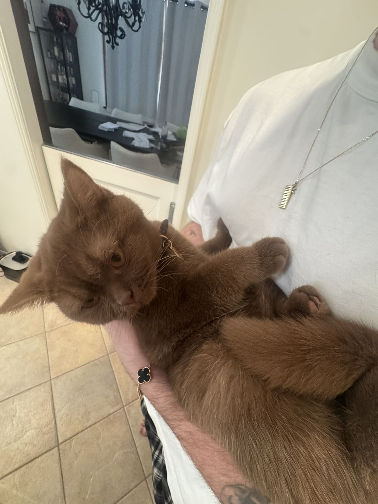 skilahblue snapchat image archive image