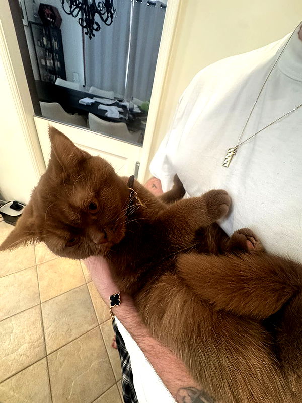 skilahblue image ~ Altpins