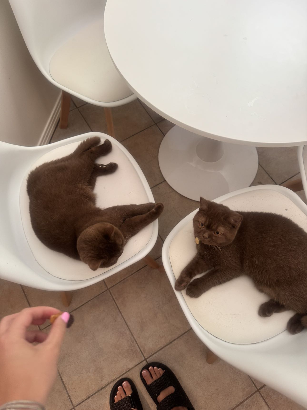 skilahblue snapchat image archive image