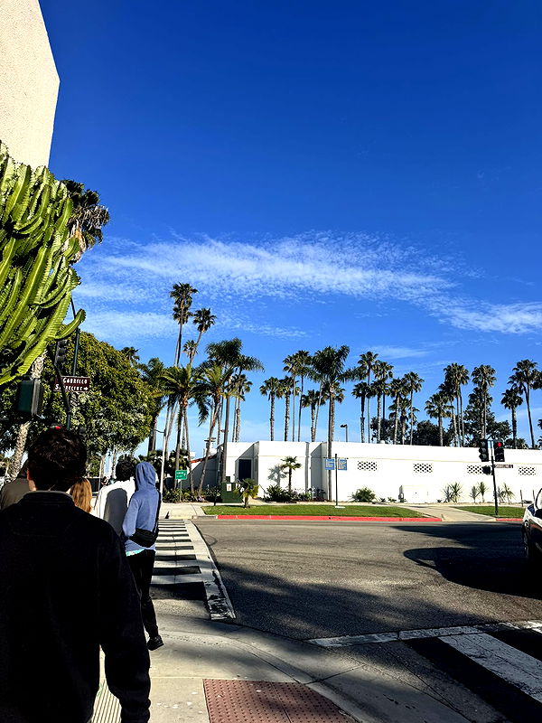 skilahblue image ~ Altpins