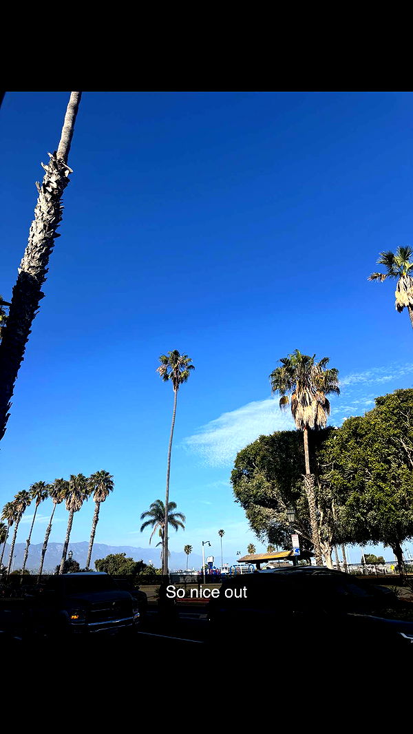 skilahblue image ~ Altpins