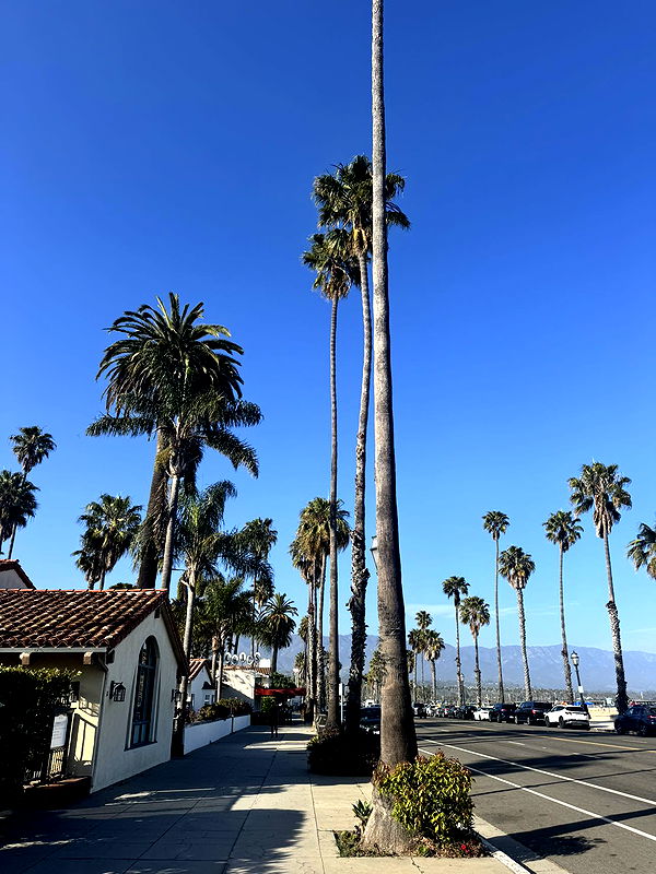 skilahblue image ~ Altpins