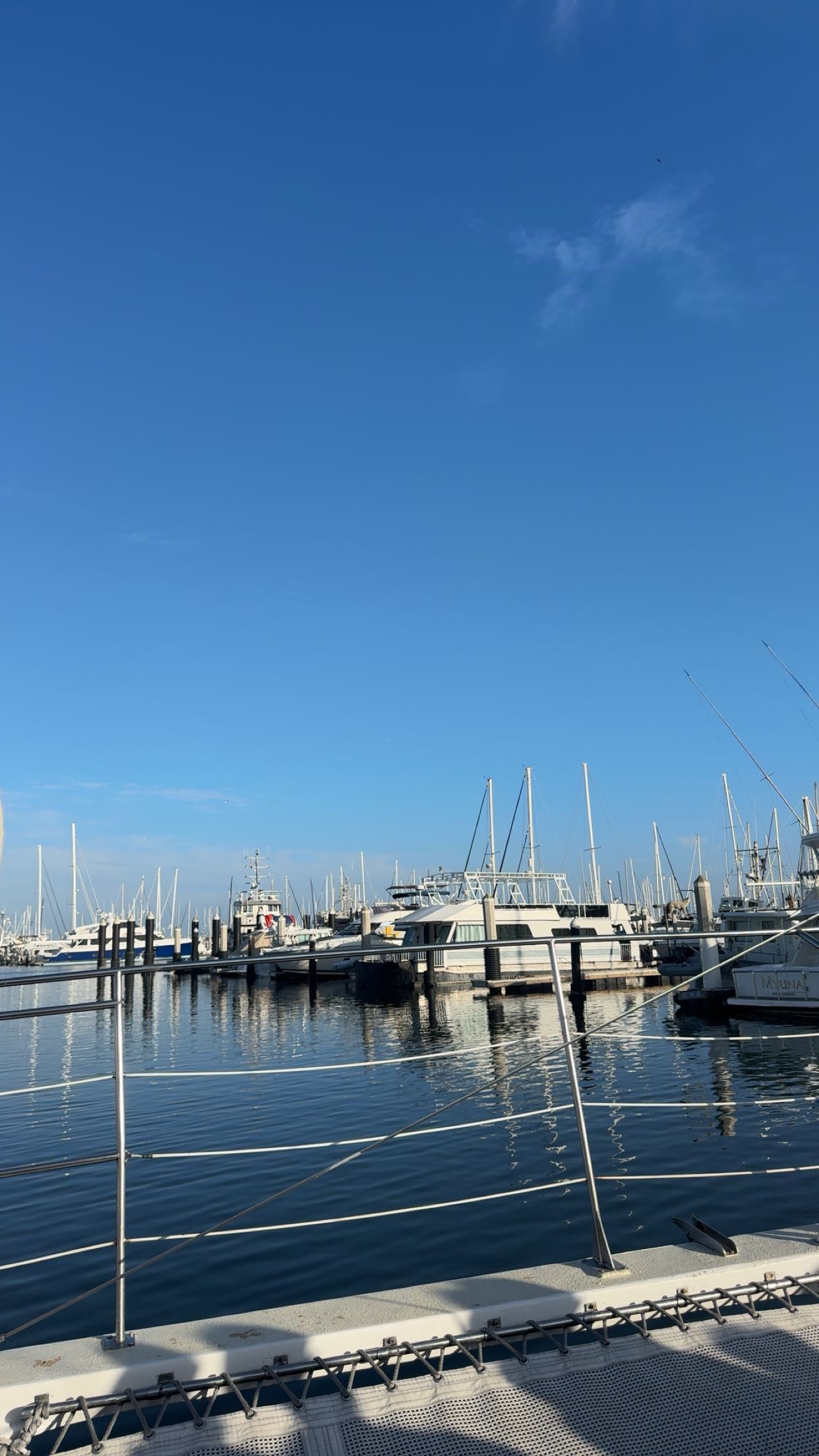 skilahblue snapchat image archive image