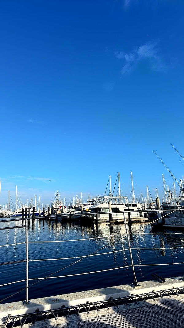 skilahblue image ~ Altpins