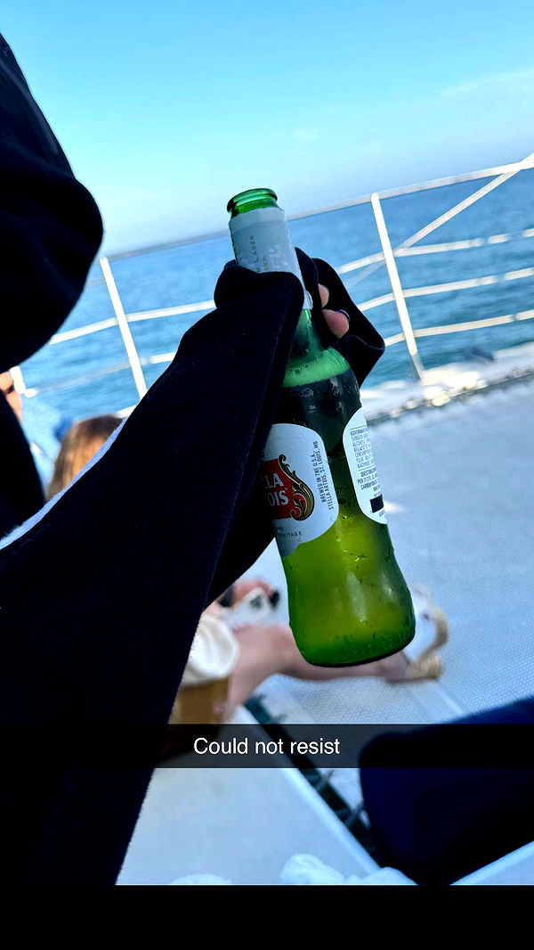 skilahblue image ~ Altpins