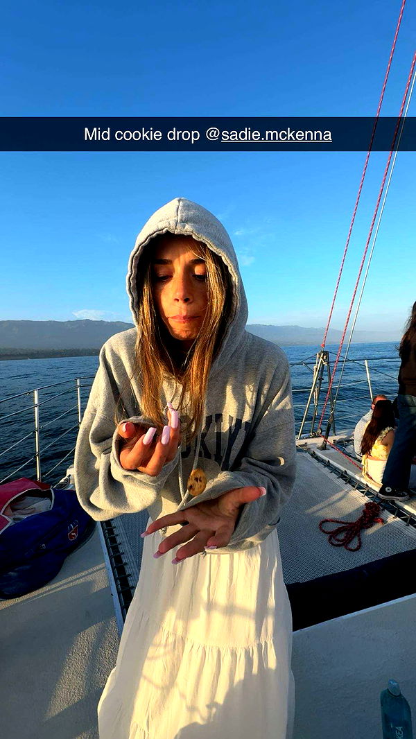 skilahblue image ~ Altpins