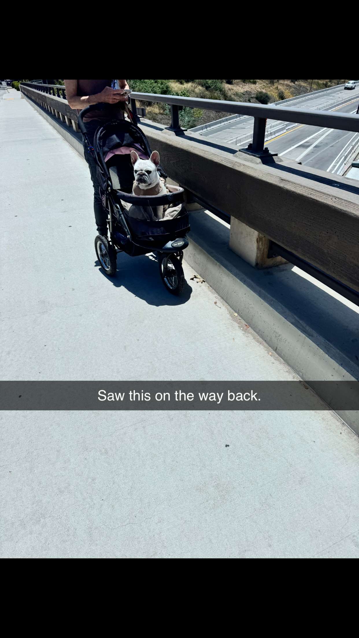 skilahblue snapchat image archive image