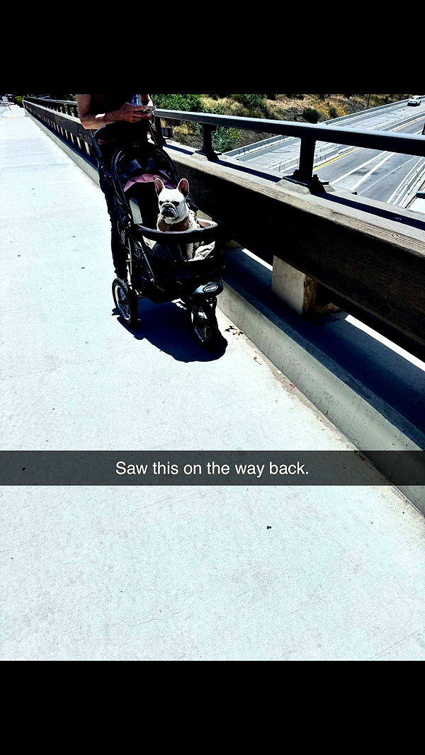 skilahblue image ~ Altpins