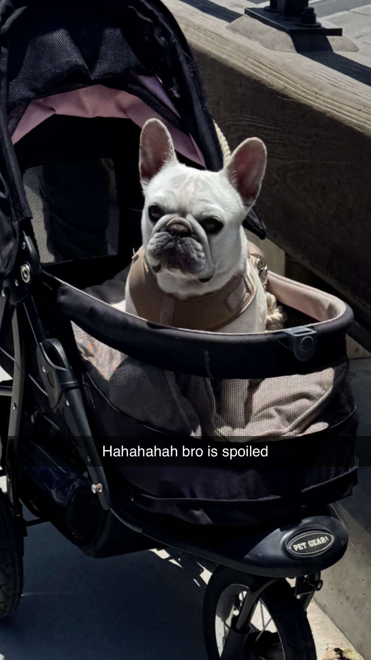 skilahblue snapchat image archive image