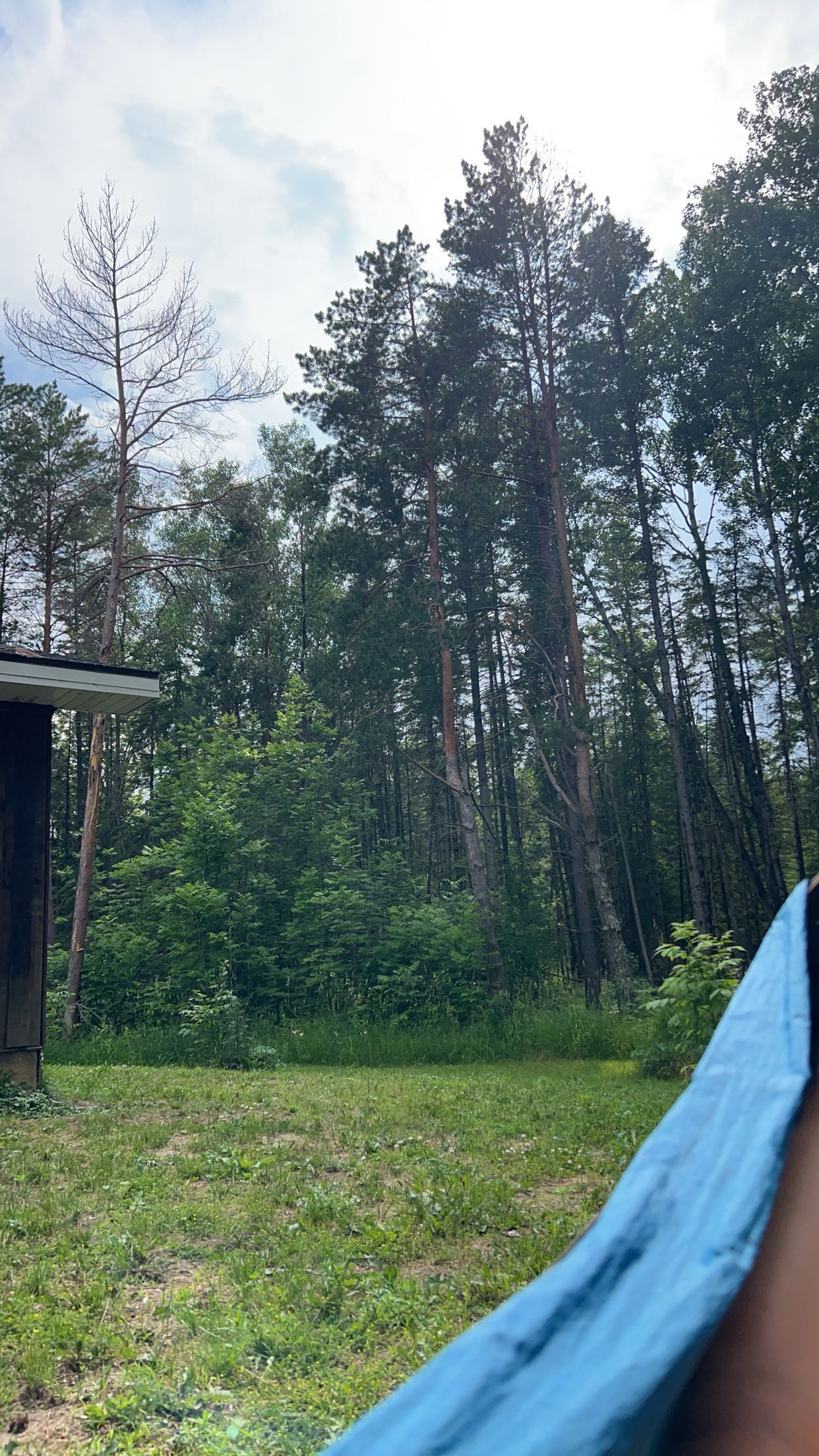 skilahblue snapchat image archive image