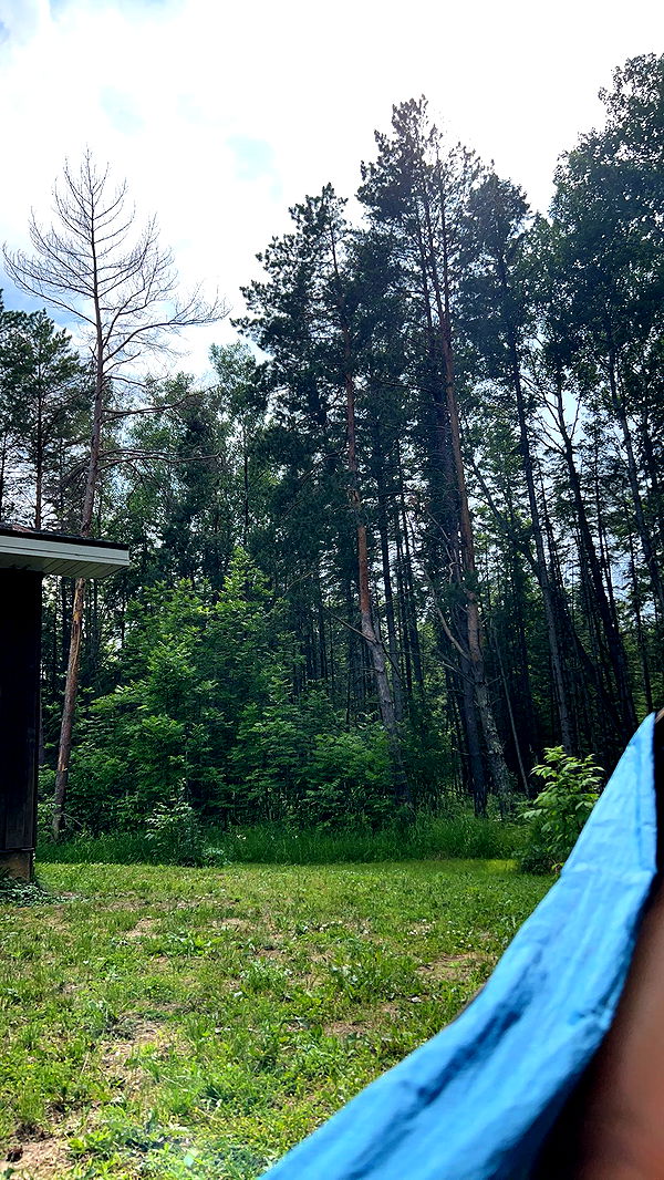 skilahblue image ~ Altpins