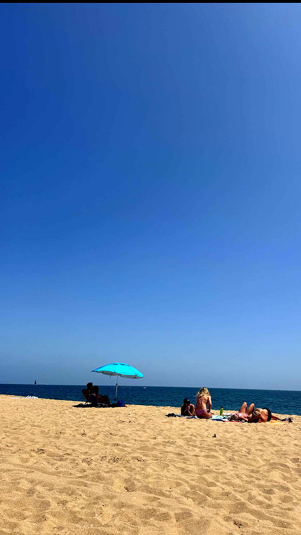 skilahblue image ~ Altpins