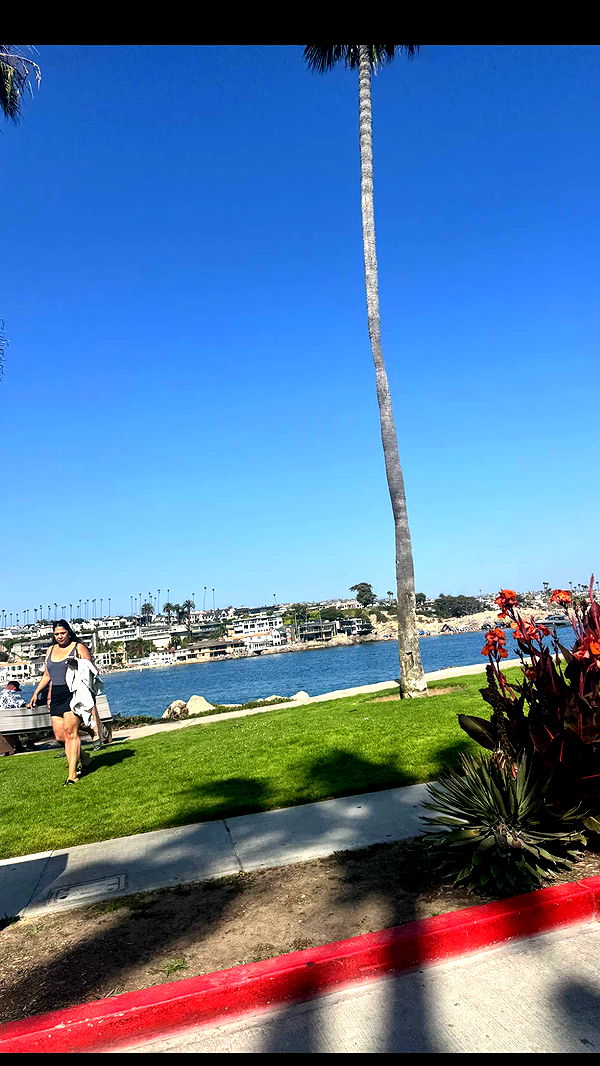 skilahblue image ~ Altpins