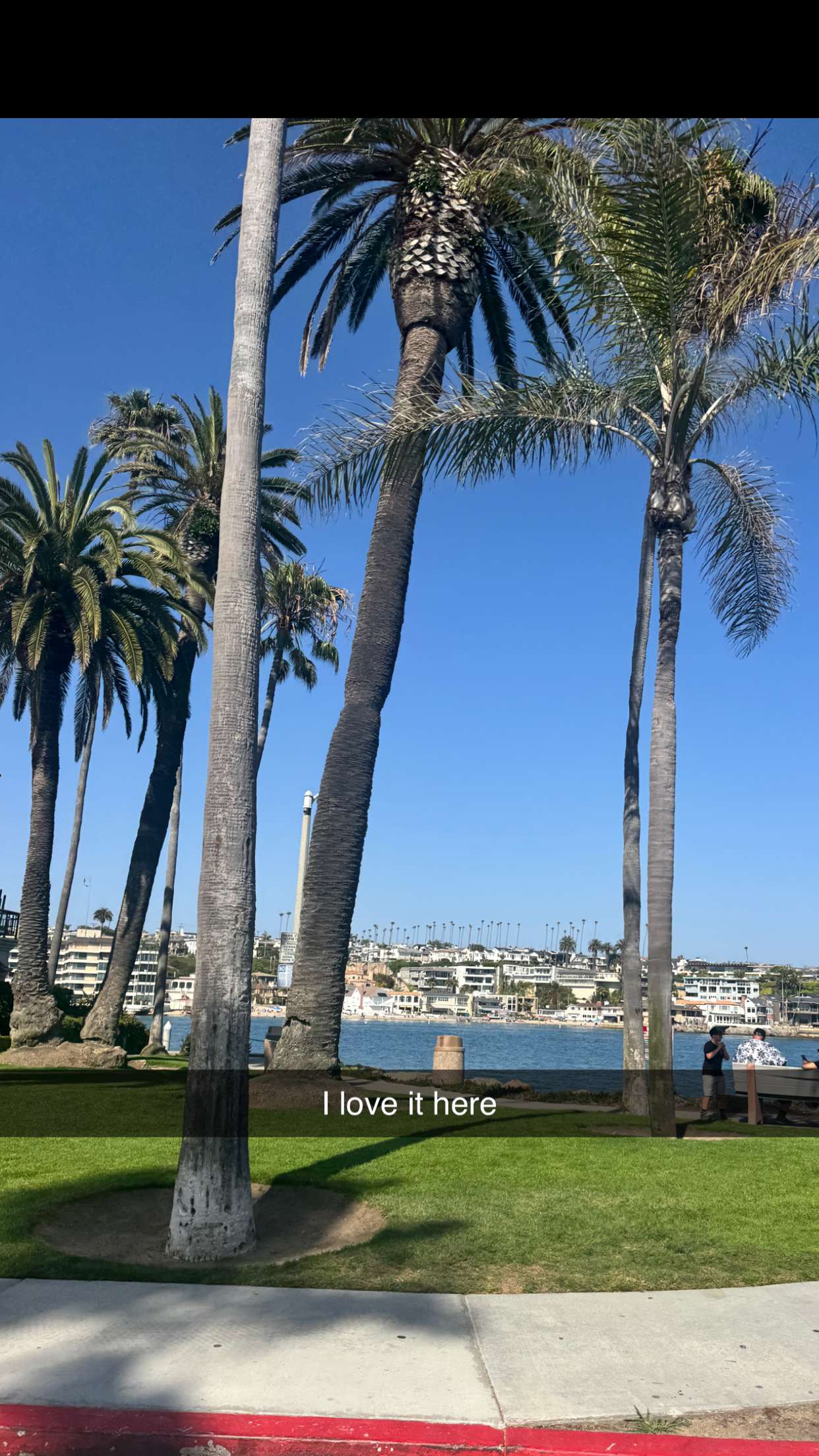 skilahblue snapchat image archive image