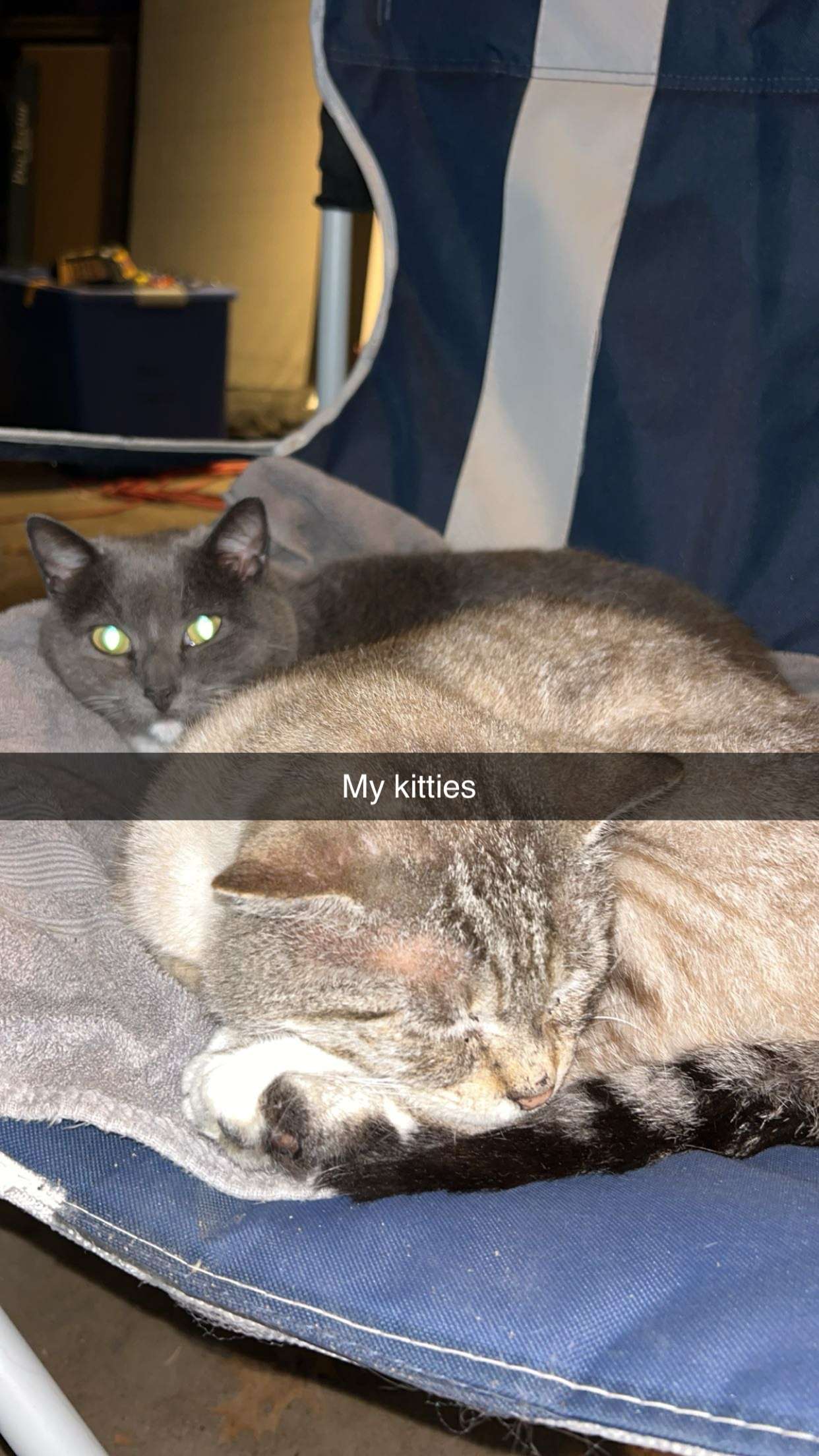 skilahblue snapchat image archive image