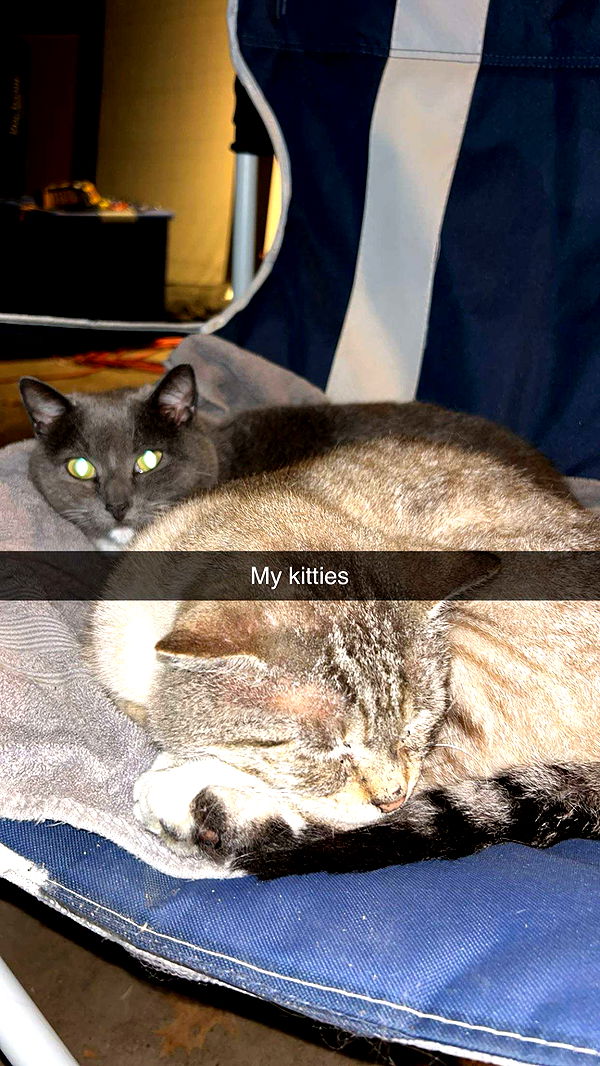 skilahblue image ~ Altpins