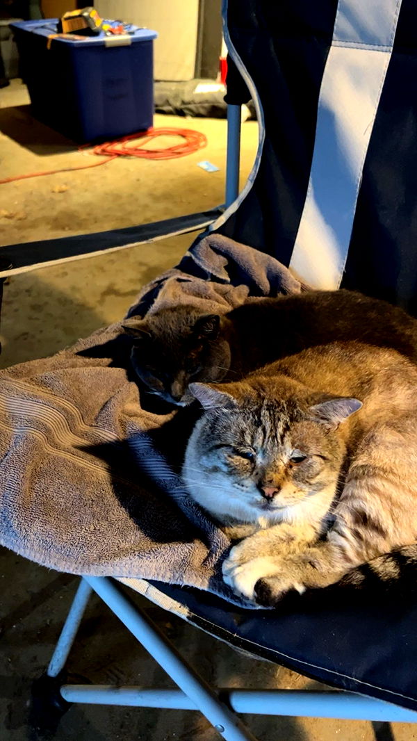 skilahblue image ~ Altpins