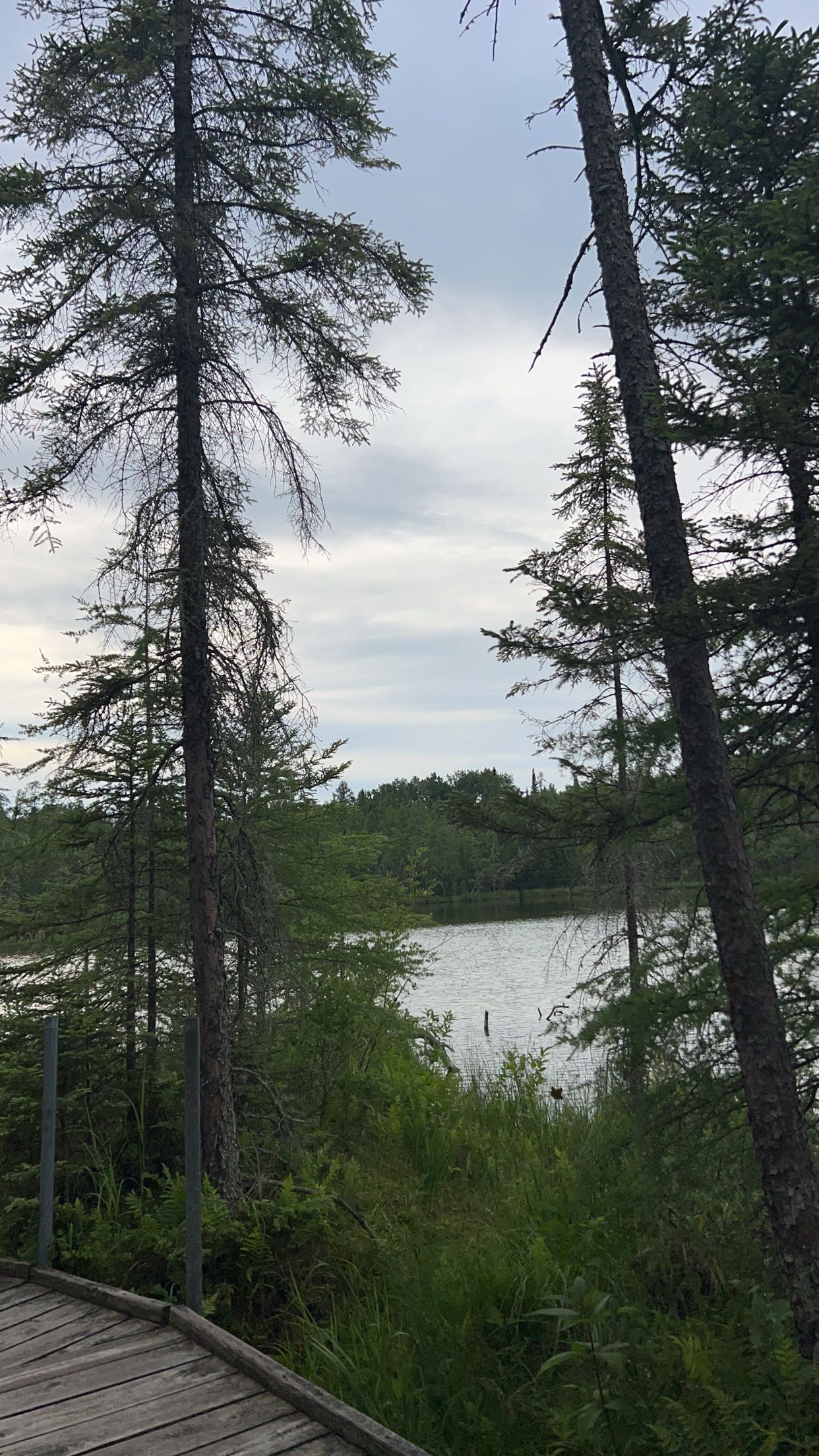 skilahblue snapchat image archive image