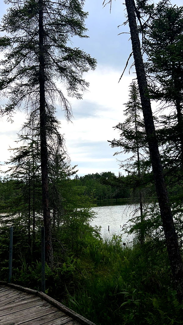 skilahblue image ~ Altpins