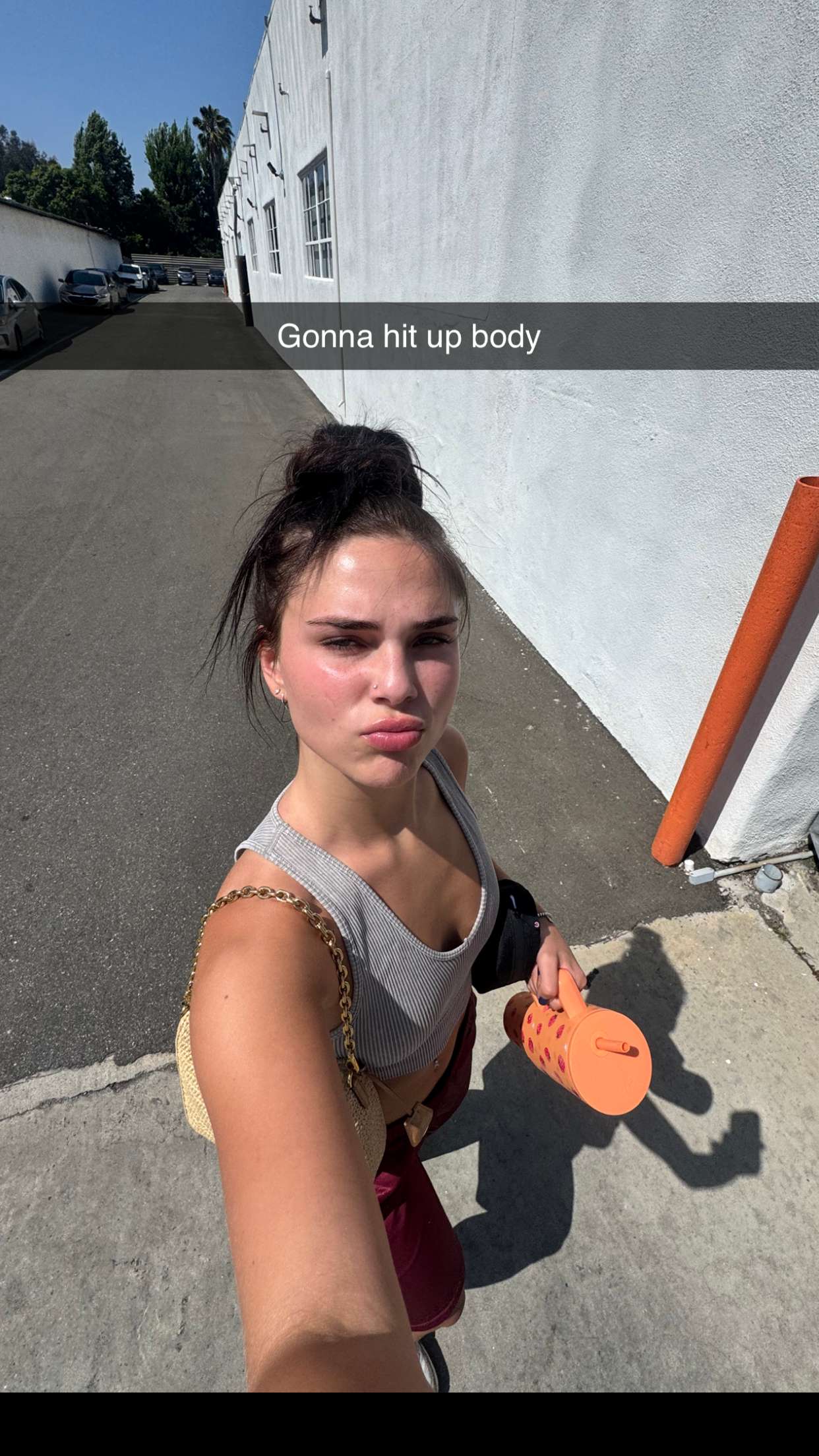 skilahblue snapchat image archive image