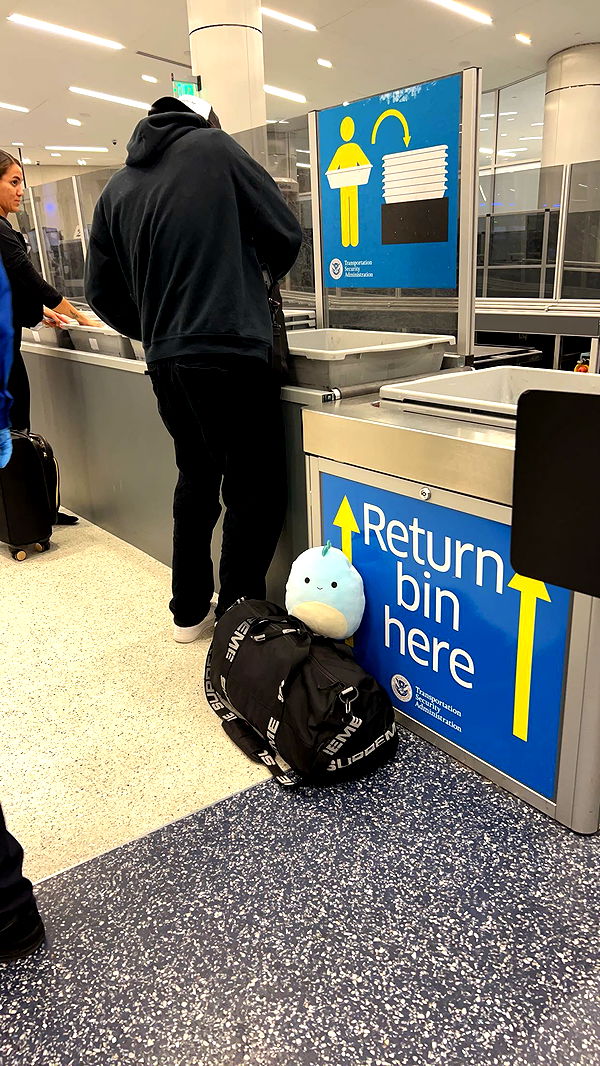 skilahblue image ~ Altpins