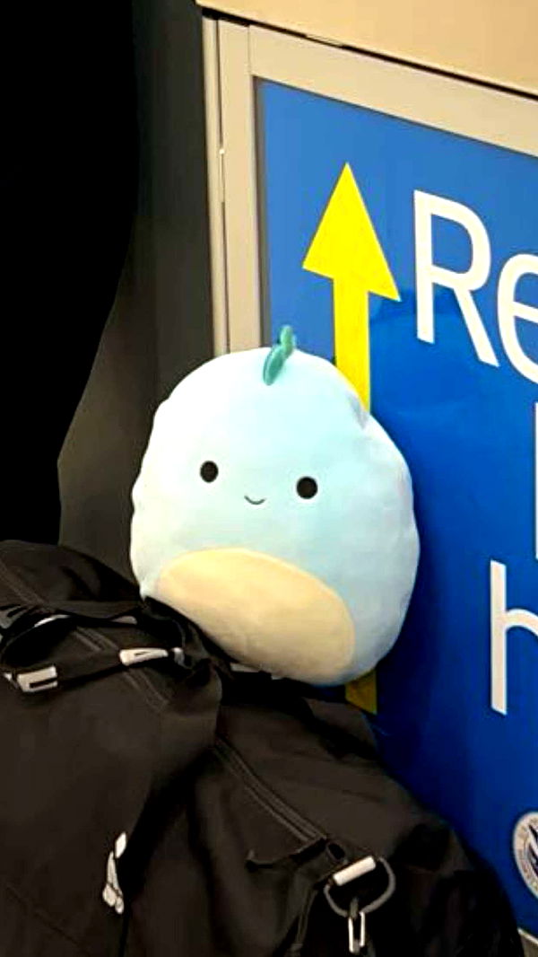 skilahblue image ~ Altpins