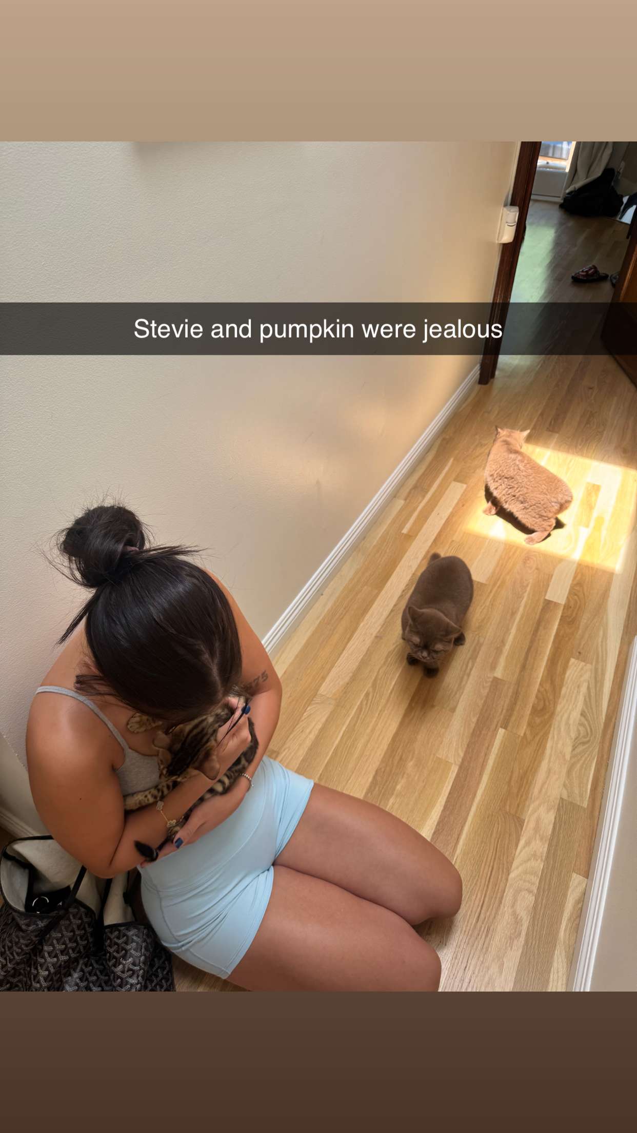 skilahblue snapchat image archive image