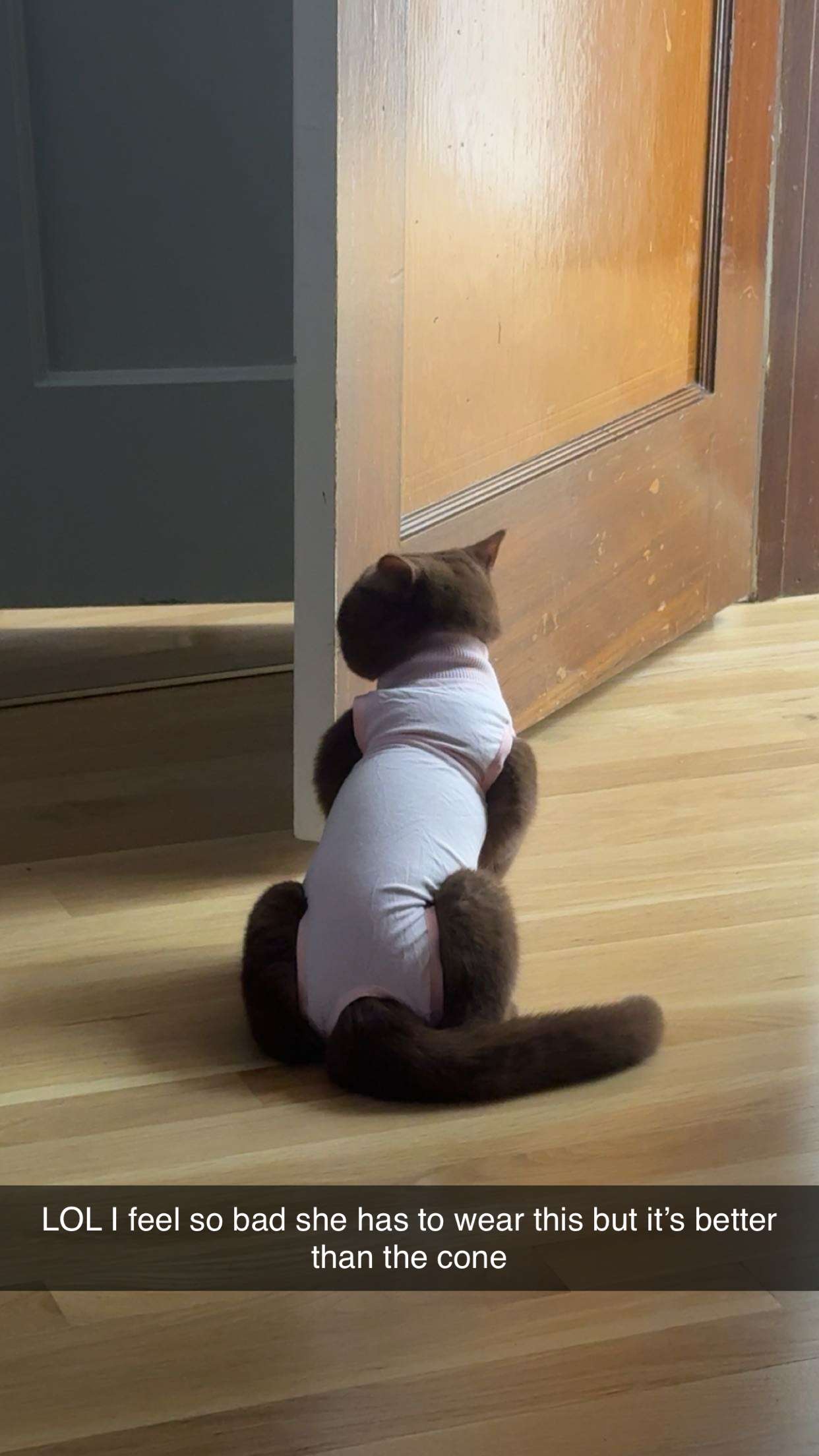 skilahblue snapchat image archive image