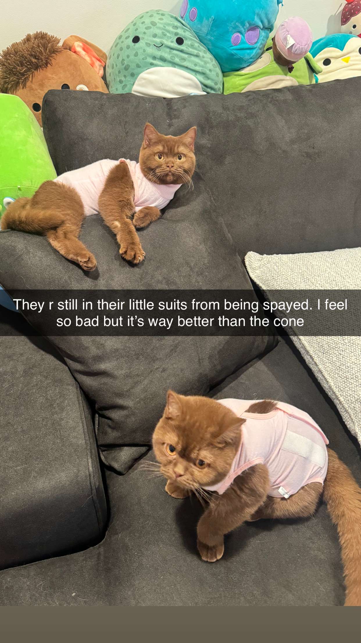 skilahblue snapchat image archive image