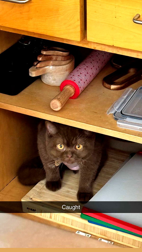 skilahblue image ~ Altpins