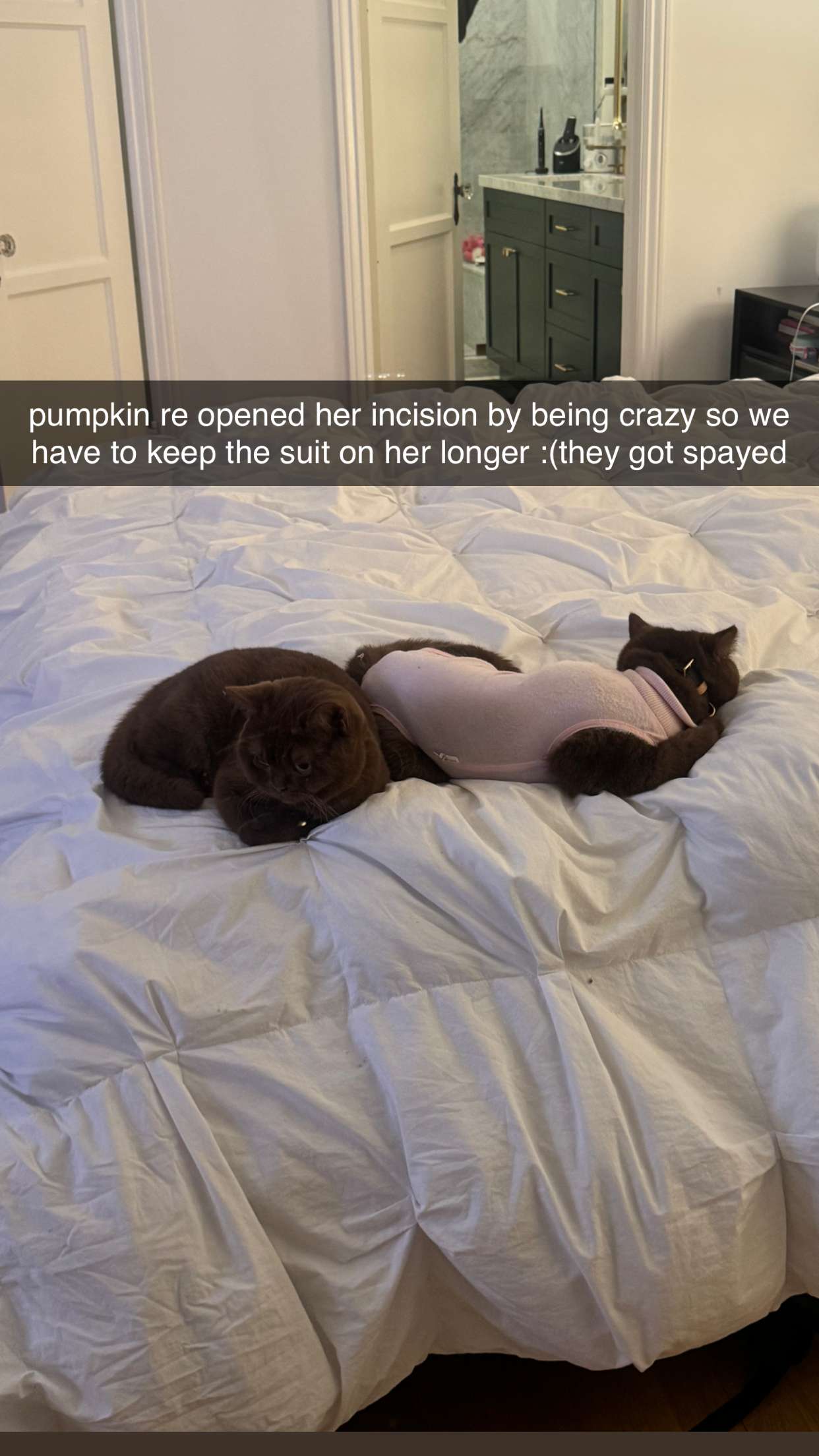 skilahblue snapchat image archive image