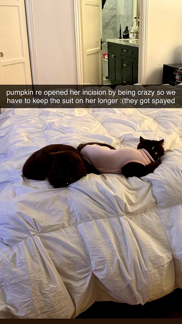 skilahblue image ~ Altpins