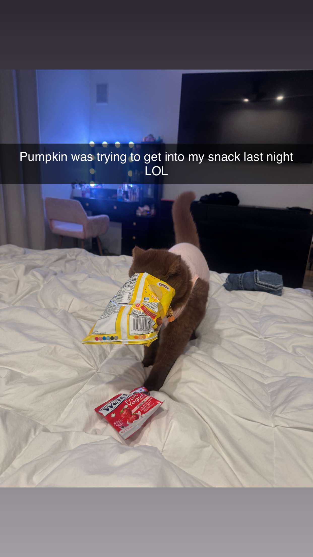 skilahblue snapchat image archive image