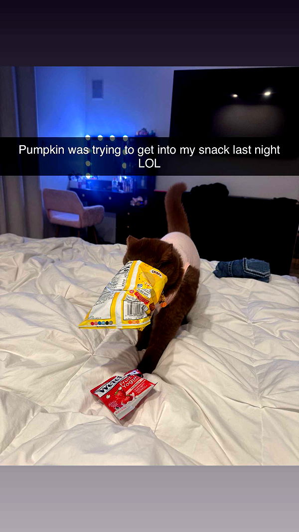 skilahblue image ~ Altpins