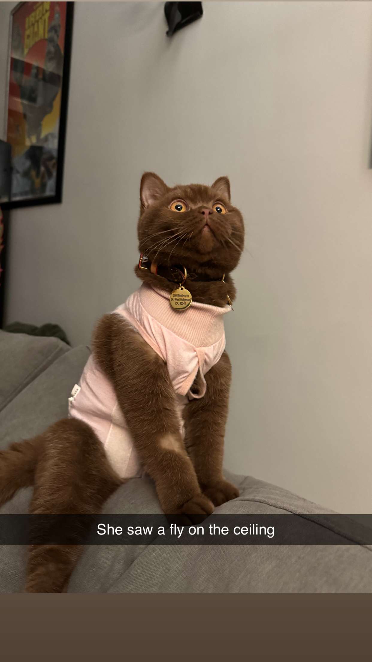 skilahblue snapchat image archive image