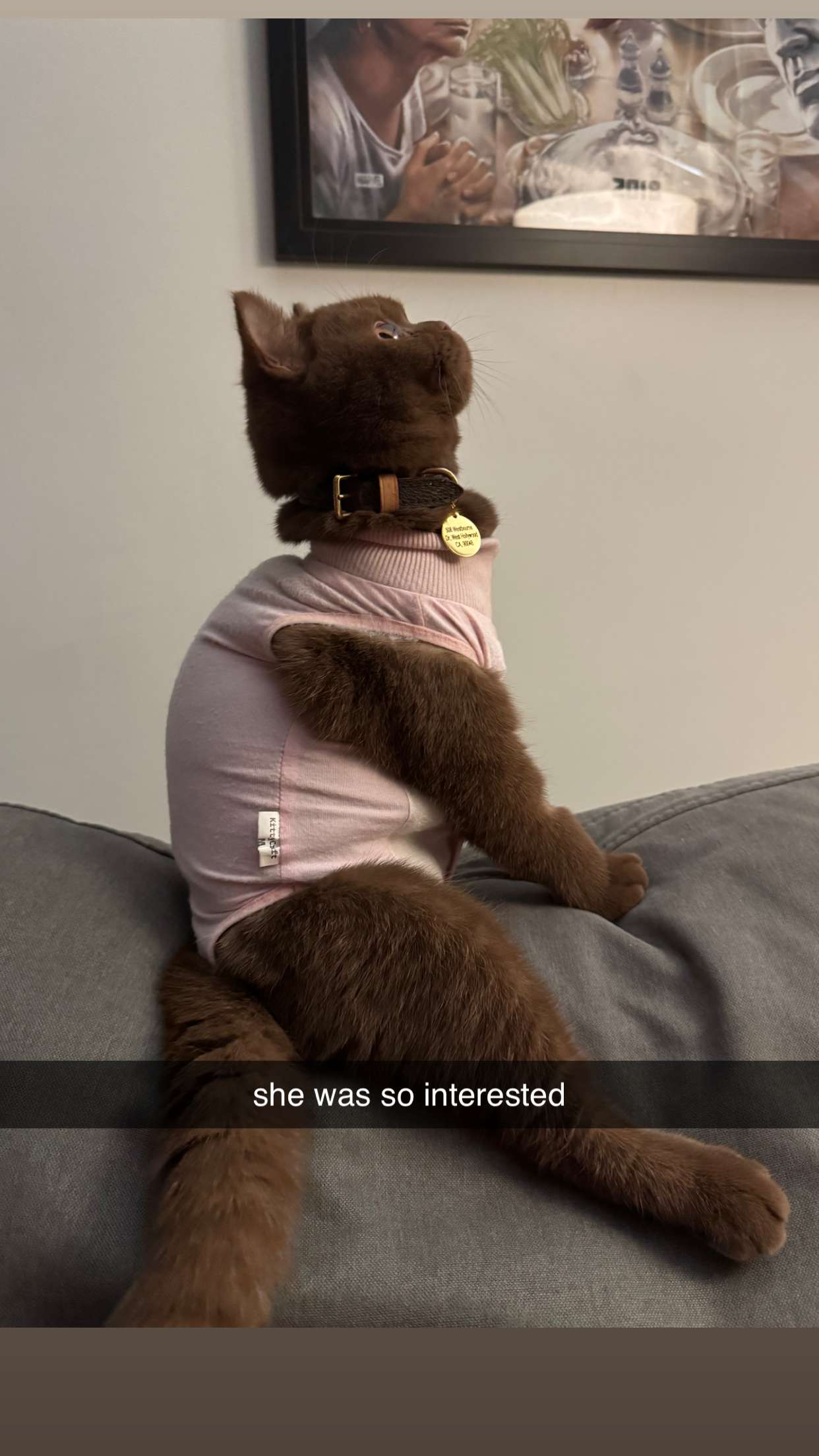 skilahblue snapchat image archive image