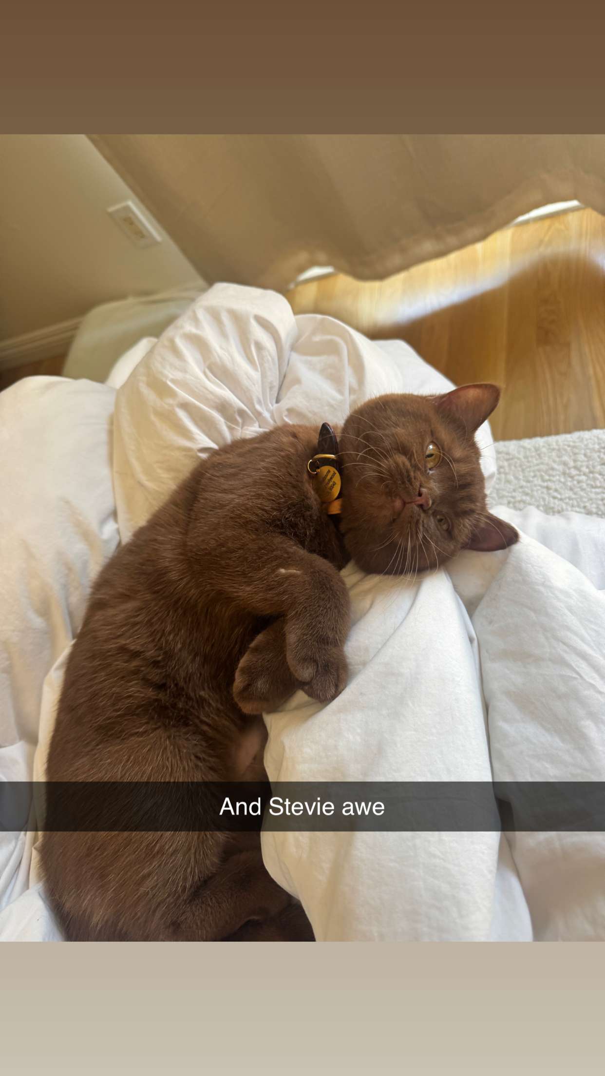 skilahblue snapchat image archive image