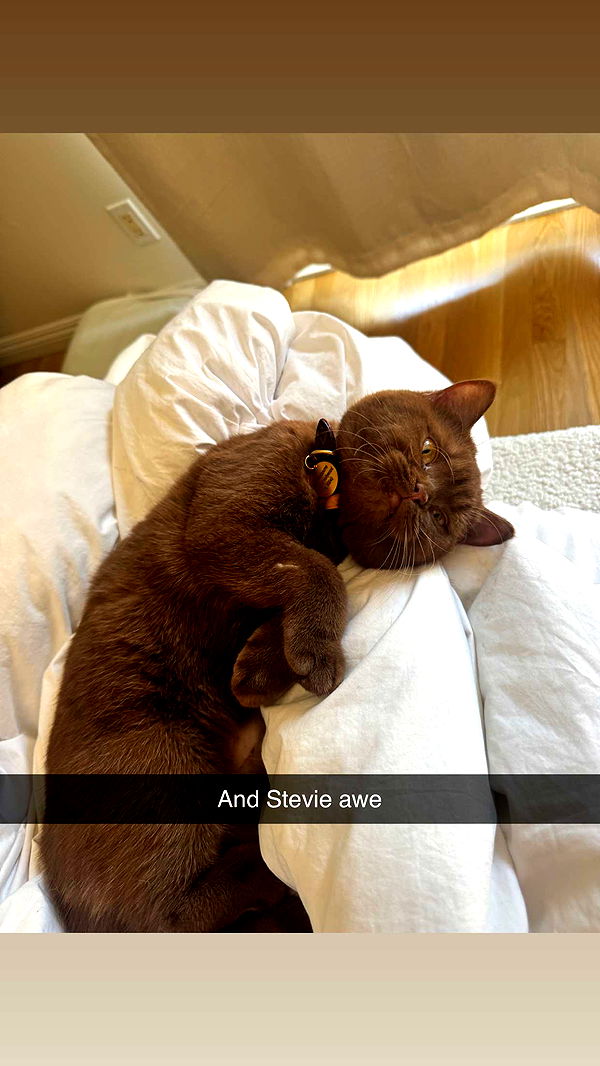 skilahblue image ~ Altpins