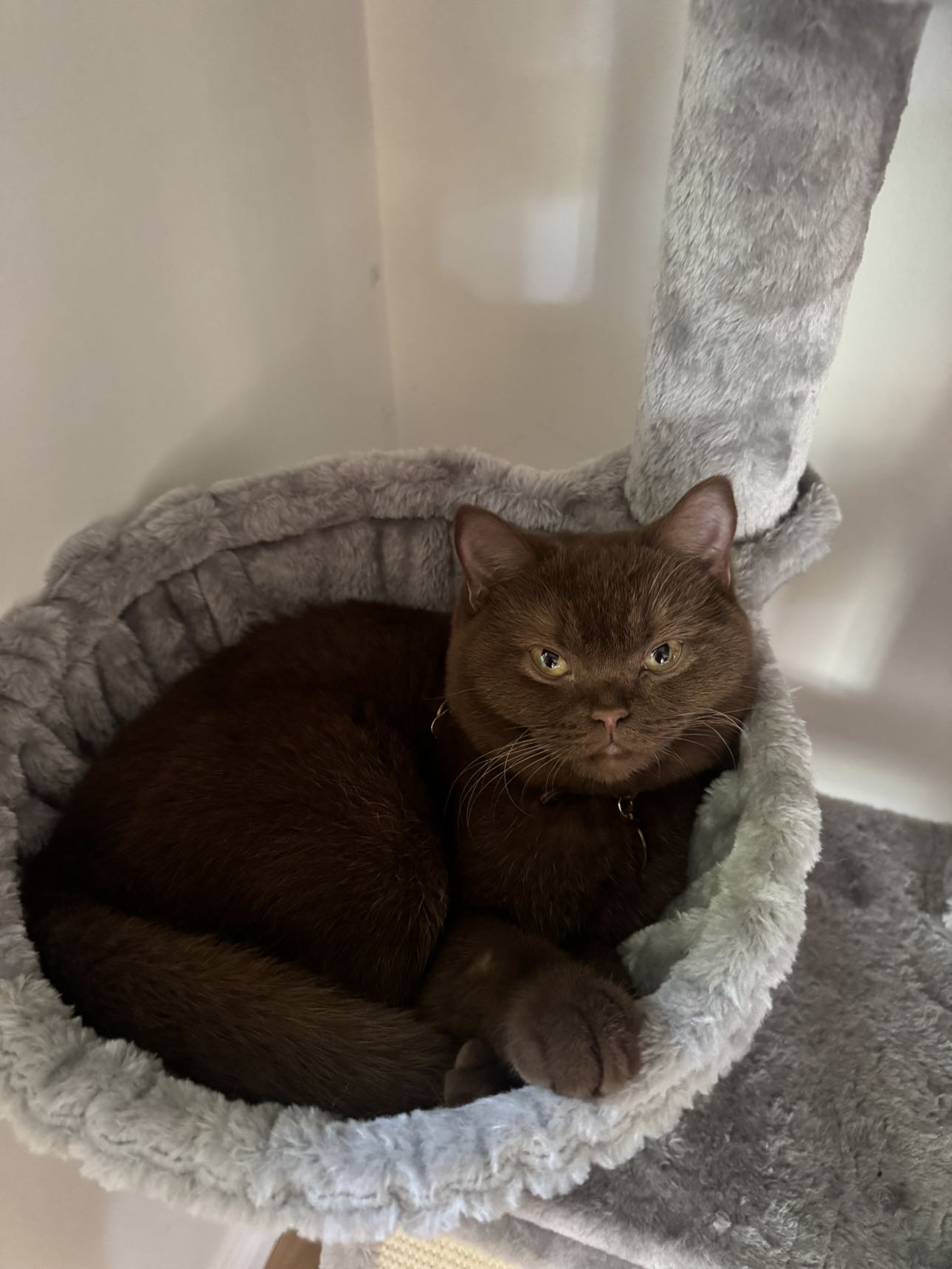 skilahblue snapchat image archive image