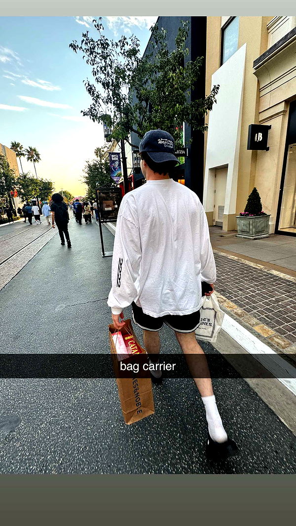 skilahblue image ~ Altpins