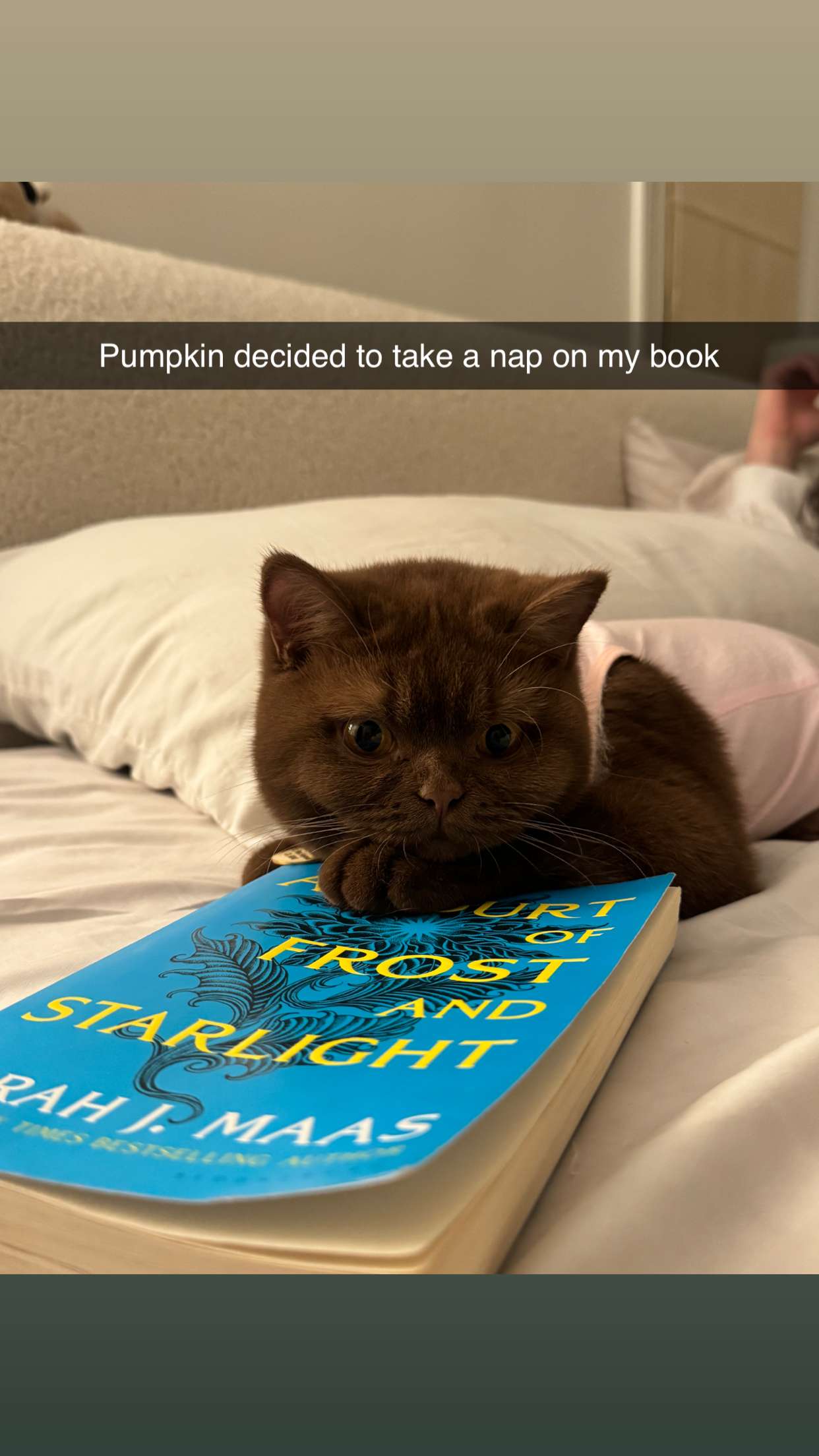 skilahblue snapchat image archive image