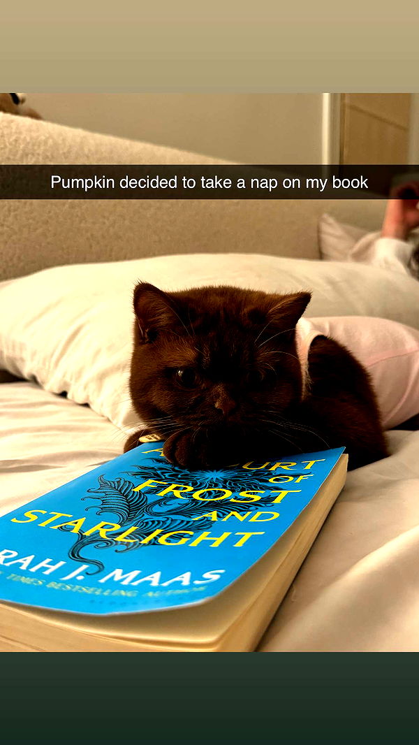 skilahblue image ~ Altpins